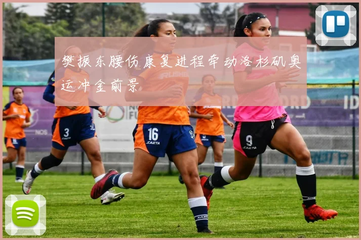 樊振东腰伤康复进程牵动洛杉矶奥运冲金前景