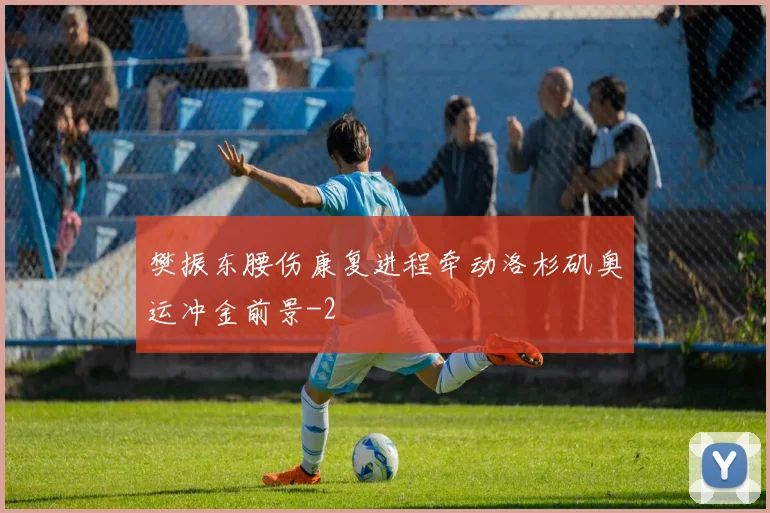 樊振东腰伤康复进程牵动洛杉矶奥运冲金前景